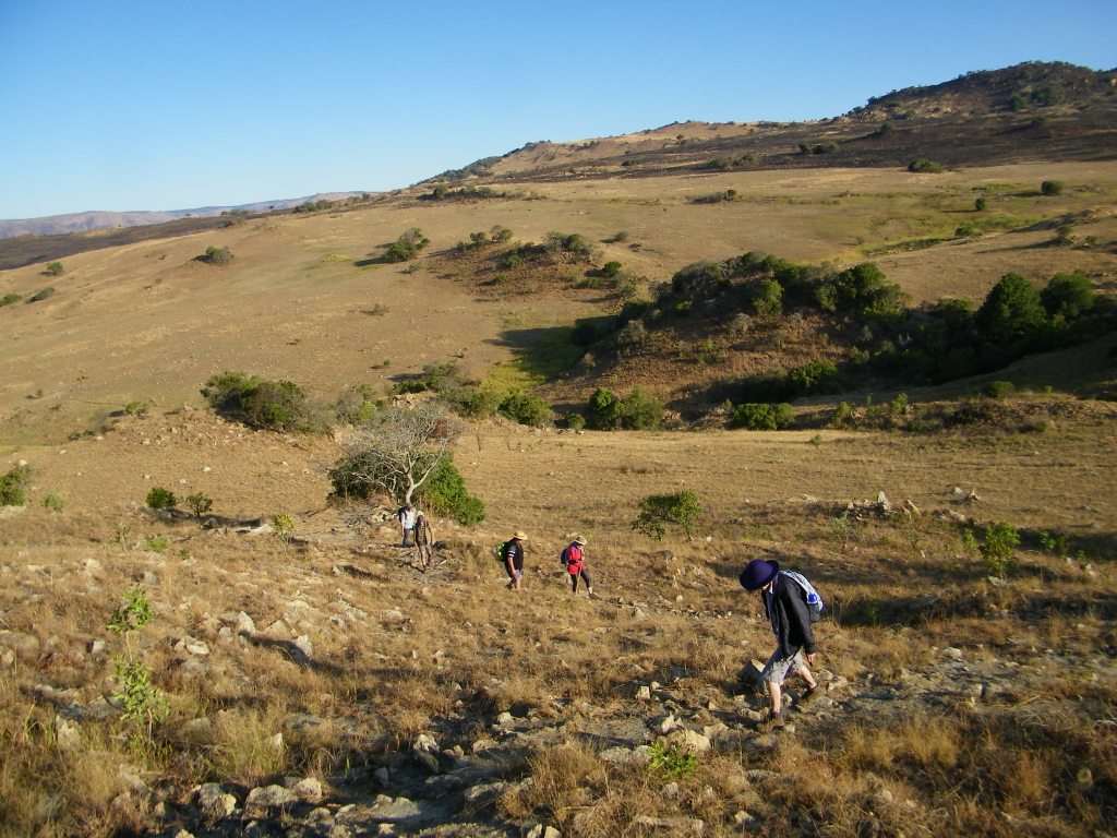 Blue Wildebees hike